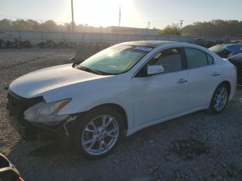  Salvage Nissan Maxima