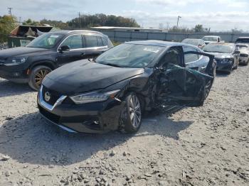  Salvage Nissan Maxima