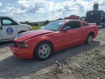  Salvage Ford Mustang