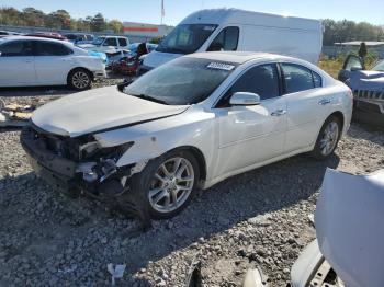  Salvage Nissan Maxima