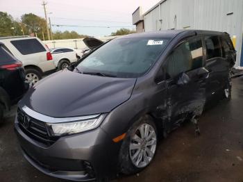  Salvage Honda Odyssey