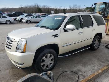  Salvage Cadillac Escalade