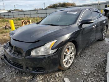  Salvage Nissan Maxima