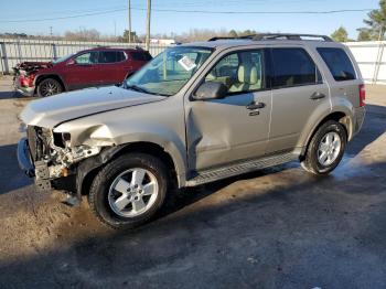  Salvage Ford Escape