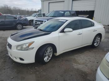  Salvage Nissan Maxima