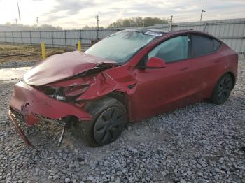  Salvage Tesla Model Y