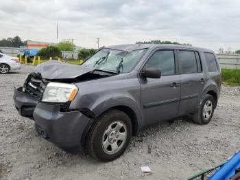  Salvage Honda Pilot