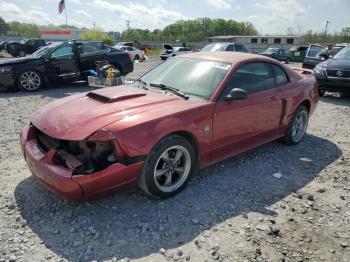  Salvage Ford Mustang