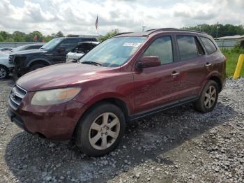  Salvage Hyundai SANTA FE