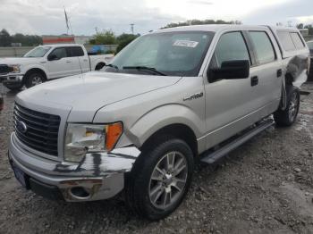  Salvage Ford F-150