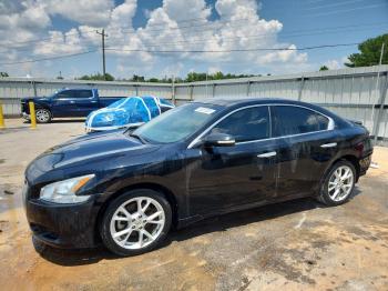  Salvage Nissan Maxima