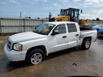  Salvage Dodge Dakota