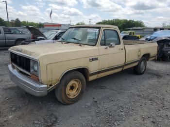  Salvage Dodge D Series