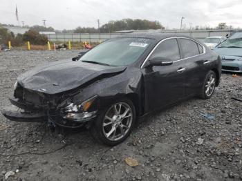  Salvage Nissan Maxima