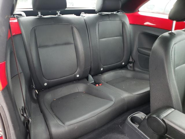Volkswagen Beetle Image 6