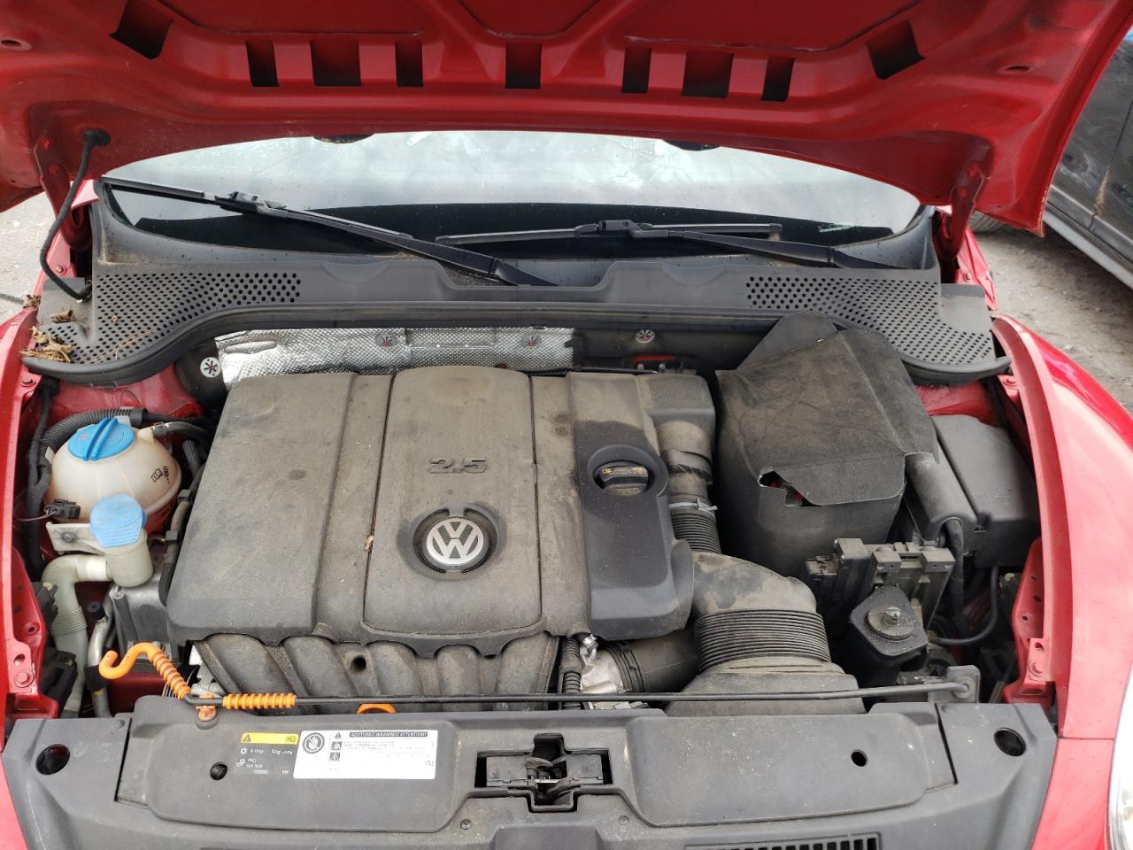 Volkswagen Beetle Image 7