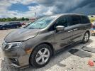 Honda Odyssey Exl Image 1
