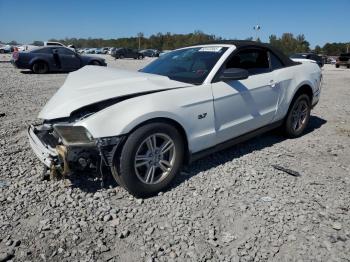  Salvage Ford Mustang