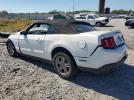 Ford Mustang Image 6