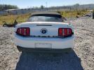 Ford Mustang Image 5