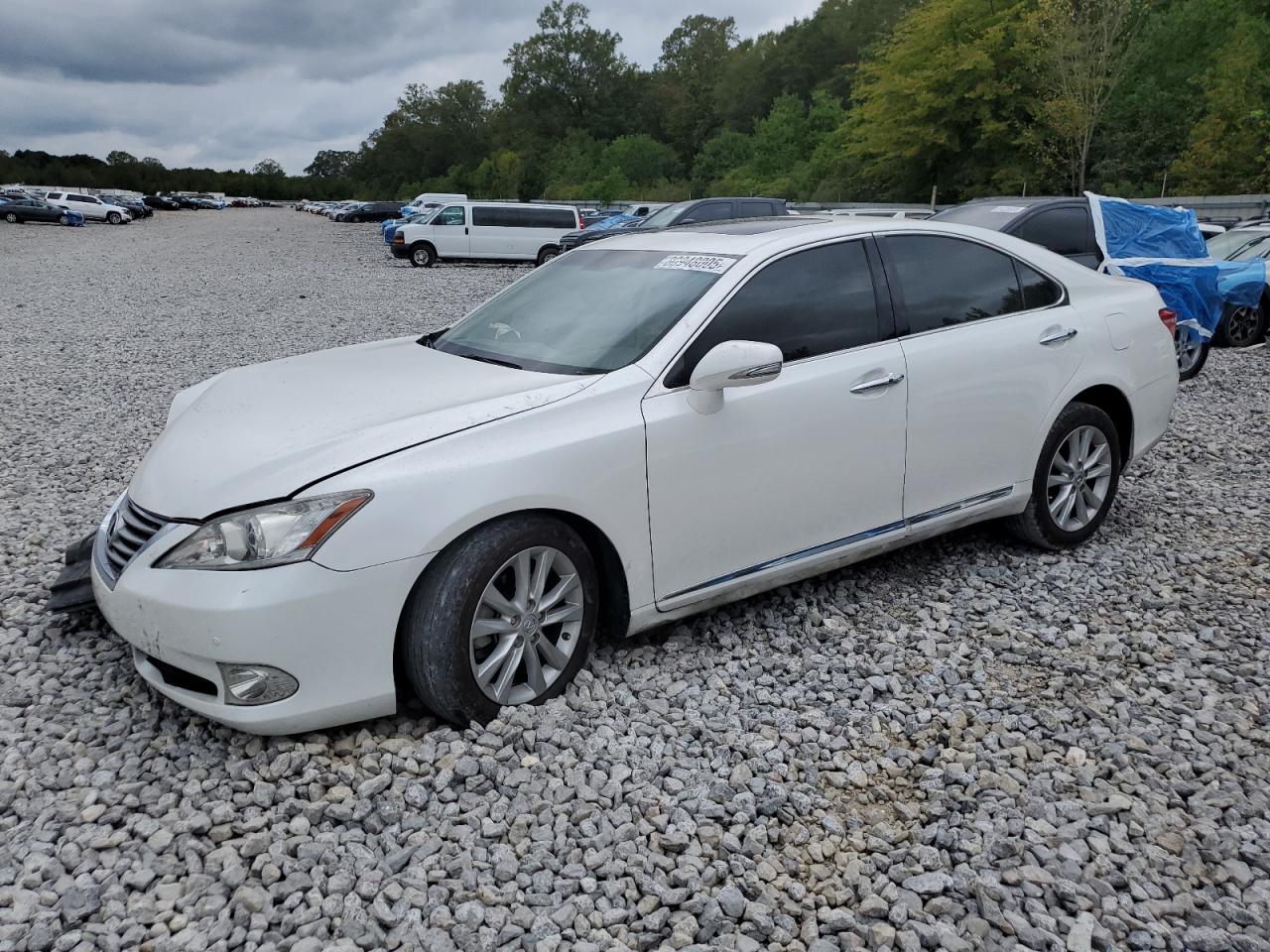 Lexus Es 350 Image 1