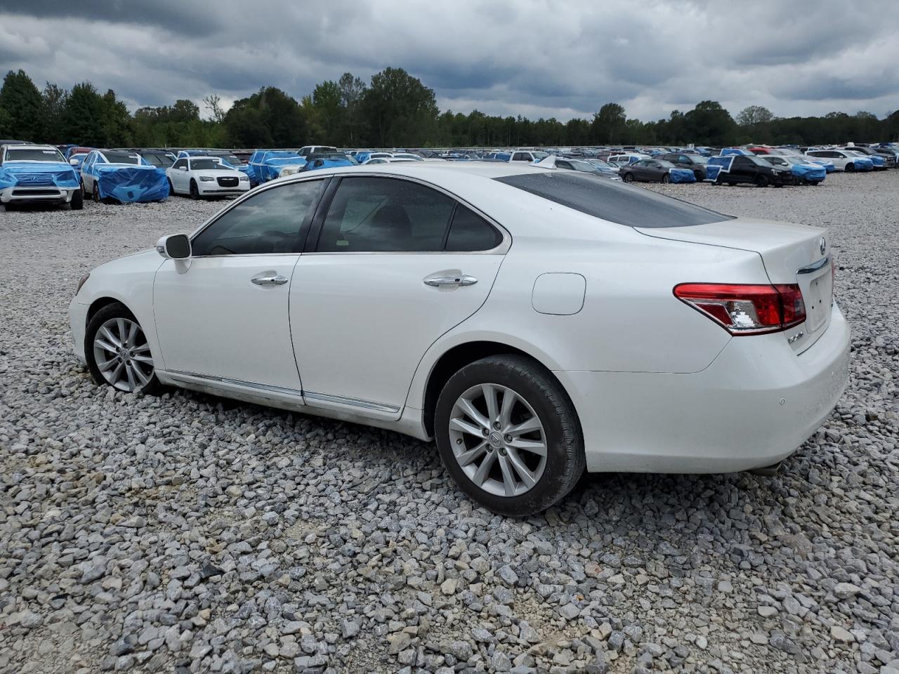 Lexus Es 350 Image 6
