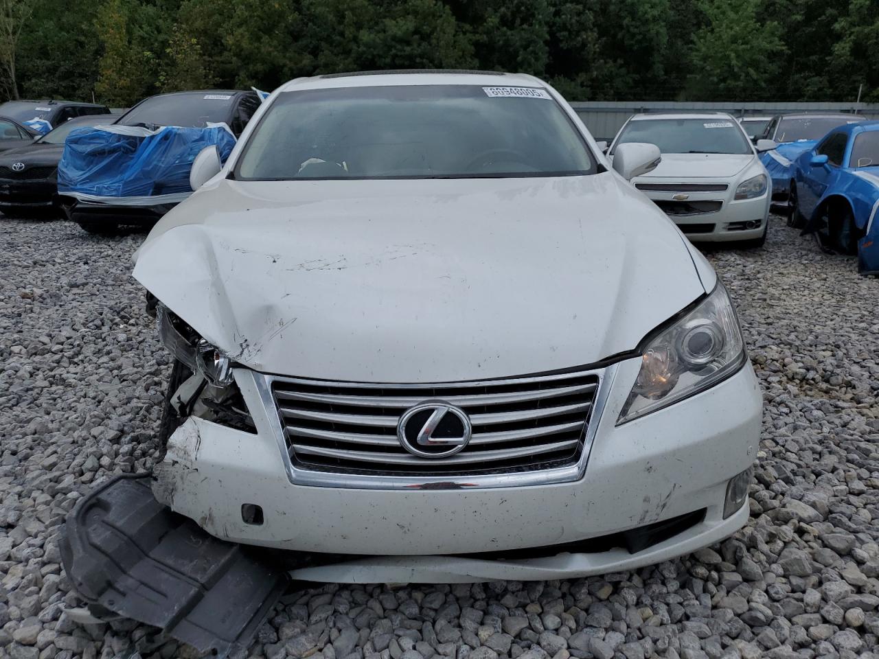 Lexus Es 350 Image 8