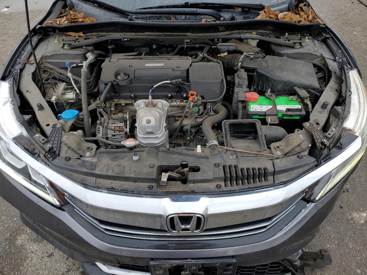 Honda Accord Exl Image 9