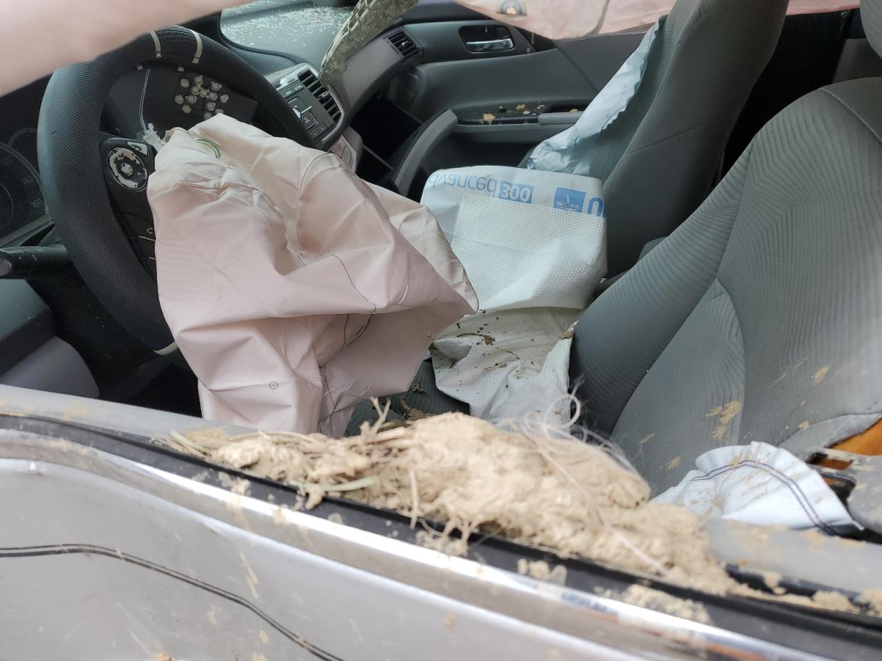 Honda Accord Lx Image 12