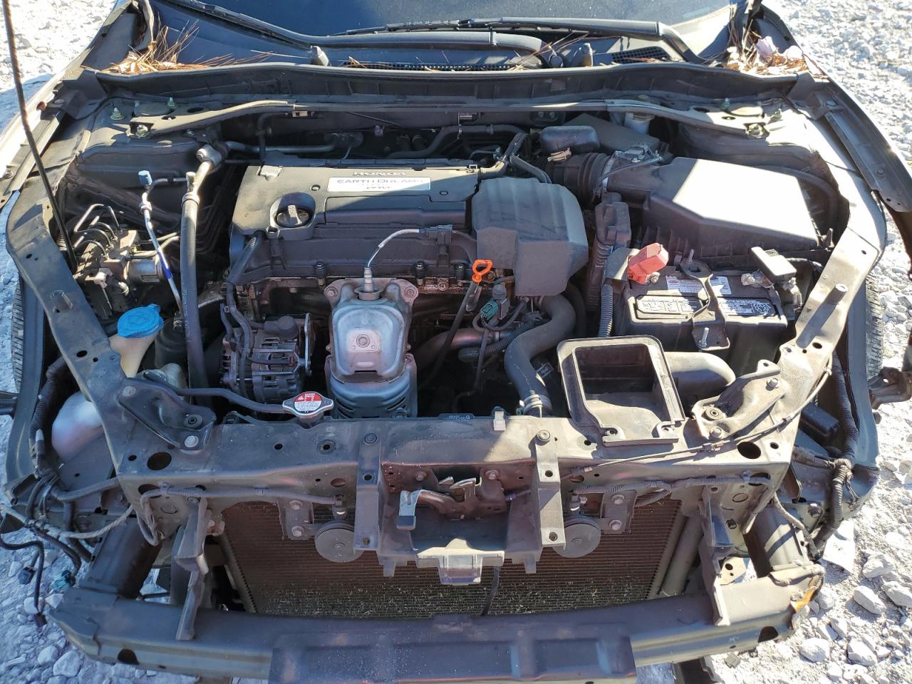 Honda Accord Exl Image 8