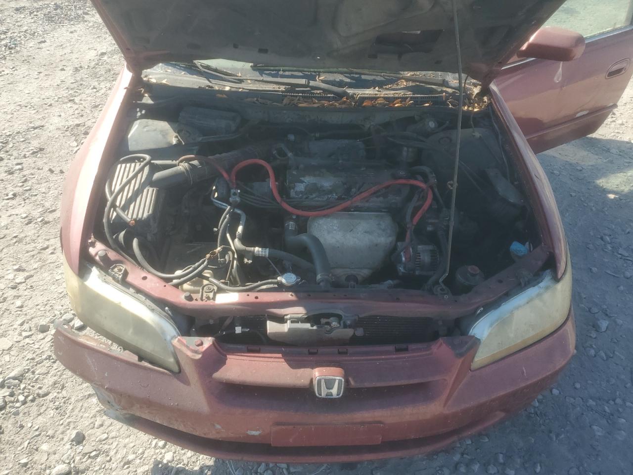 Honda Accord Lx Image 11