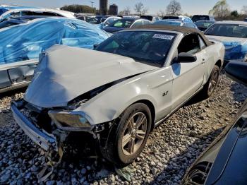  Salvage Ford Mustang