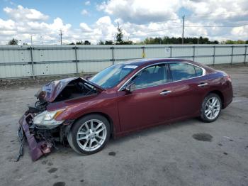  Salvage Nissan Maxima