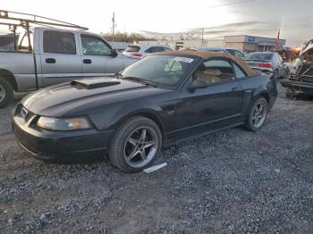  Salvage Ford Mustang