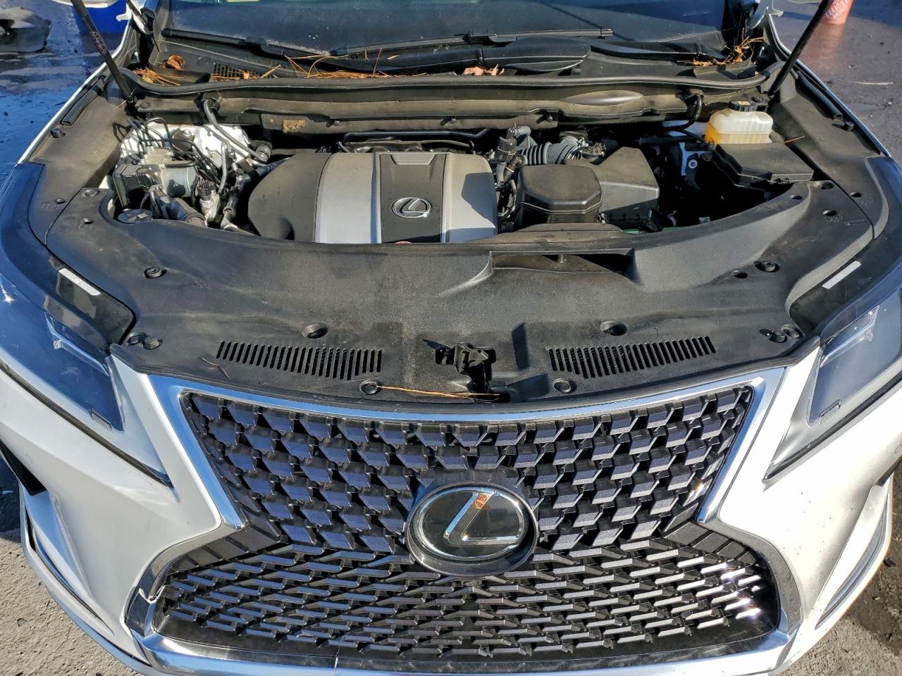 Lexus RX 350 L Image 8