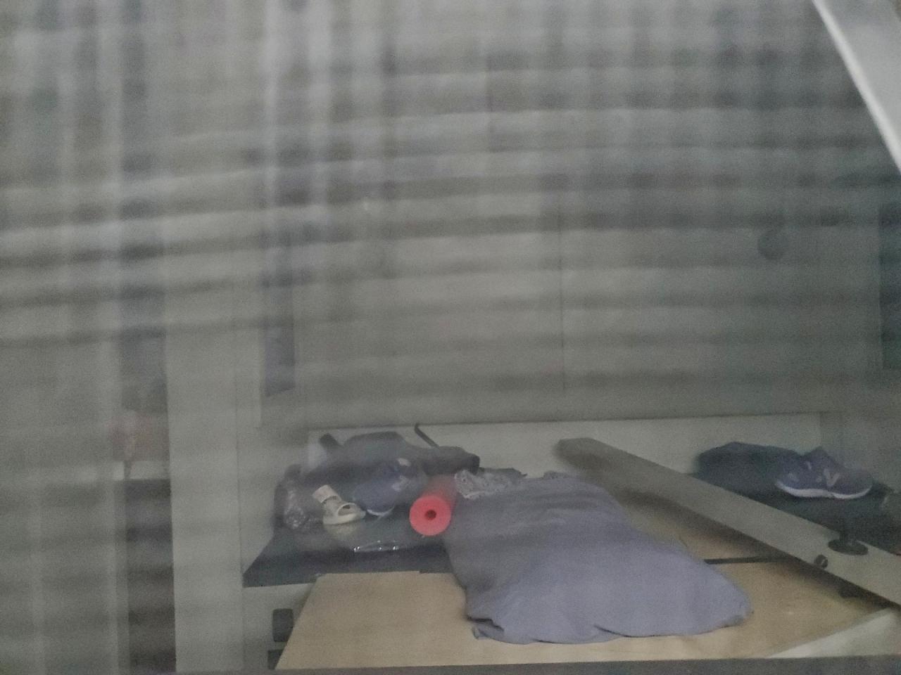 Brinkley Model Z Image 8