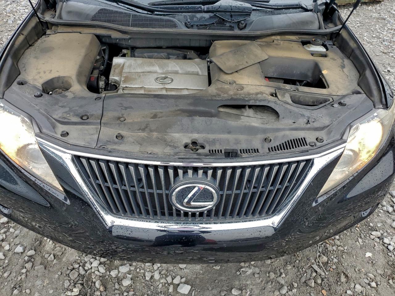 Lexus RX 350 Image 9